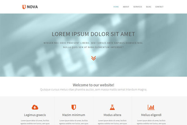 授权平台安全的网站攻击软件工具